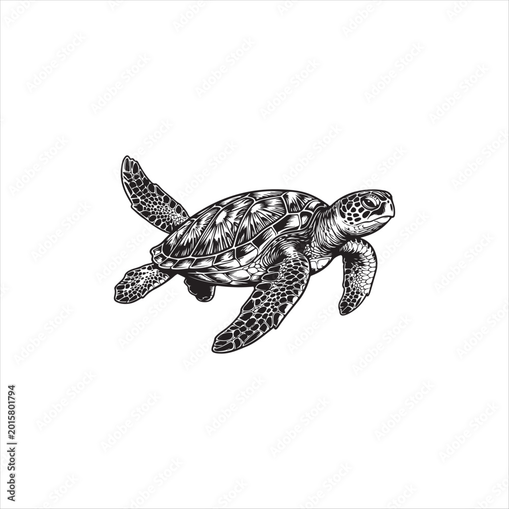 Obraz premium Detailed illustration of a sea turtle swimming in the ocean water freely marine life