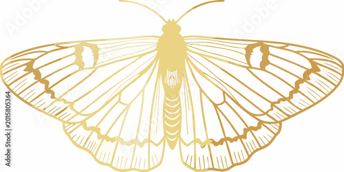 Foto Golden butterfly silhouette detailed wings on white background