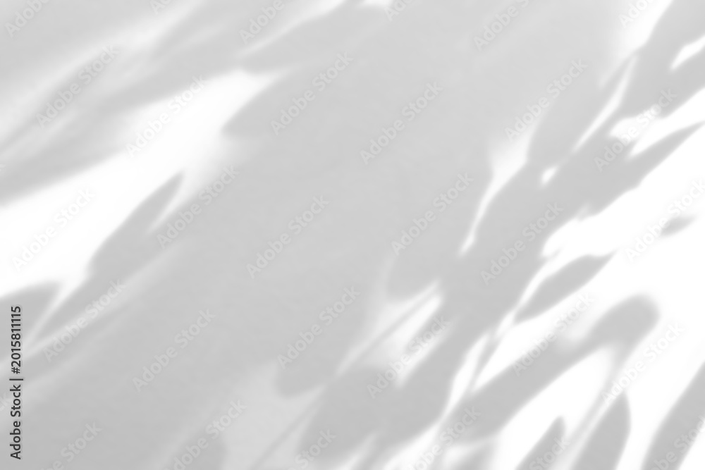Obraz premium Abstract natural tree branch leaves shadow on white wall background