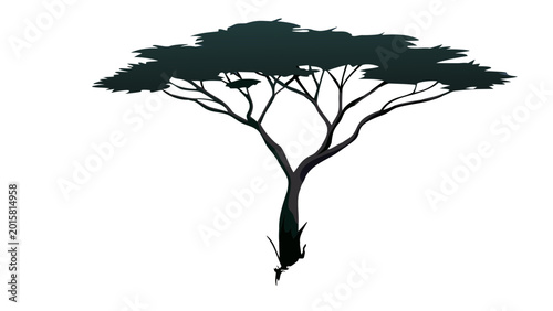 Foto Silhouette of bare tree with sprawling branches against plain background