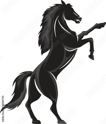 Schilderij op canvas Majestic Rearing Black Horse Stallion Vector