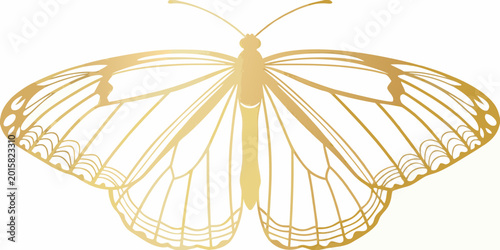 Bild auf Leinwand Golden butterfly silhouette detailed wings on white background