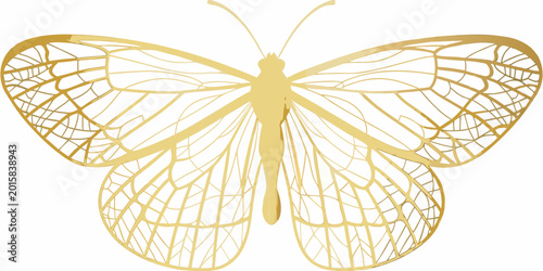 Foto Golden butterfly silhouette detailed wings on white background