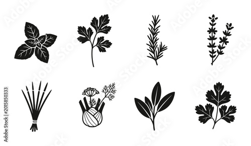 8 Culinary Herb Silhouette Icons Basil Rosemary Parsley Fennel, Solid Black Style, Food Cooking Set