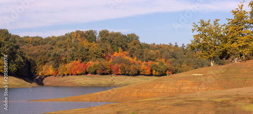 Beautiful shores and forest of Lake Khanbulan.