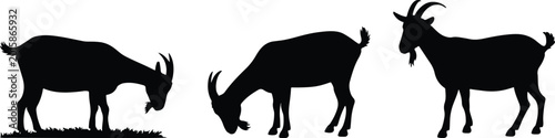 Tableau sur toile Minimalist Grazing and Standing Goat Silhouette Set, Modern Farm Animals, Livestock, and Agriculture Vector Graphics, Black and White Stylized Illustrations of Domestic Goats