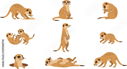 Photos set of funny animals
