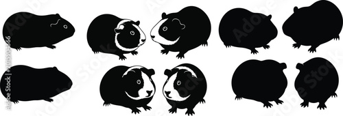 Canvastavla Guinea Pig vector set