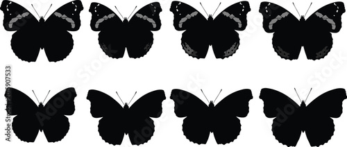 Foto Red Admiral Butterfly vector set