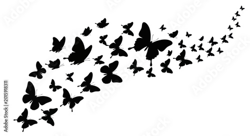 Fotografie Black Butterfly Swarm Silhouette Flying in a Wave Formation on White Background