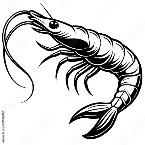 A sleek black and white vector illustration of a shrimp showcasing detailed line art and minimalist design style.