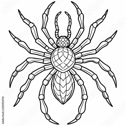 A detailed black and white vector illustration of a spider with a segmented body and eight distinct legs shown in a clean line art style