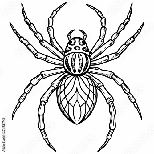 A detailed black and white vector illustration of a spider with a segmented body and long legs shown in a clean line art style