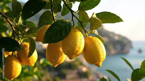 Ripe yellow lemons hanging from a tree branch, with a blurred coastal town and ocean in the background, evoking summer vacation and Mediterranean vibes