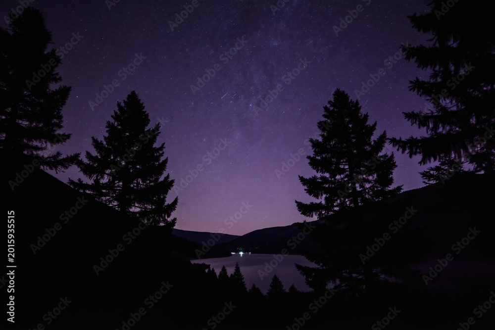 Fototapeta premium Dark pine trees frame a vast starry night sky over a calm lake. Distant lights twinkle on the far shore, creating a peaceful, remote wilderness scene.