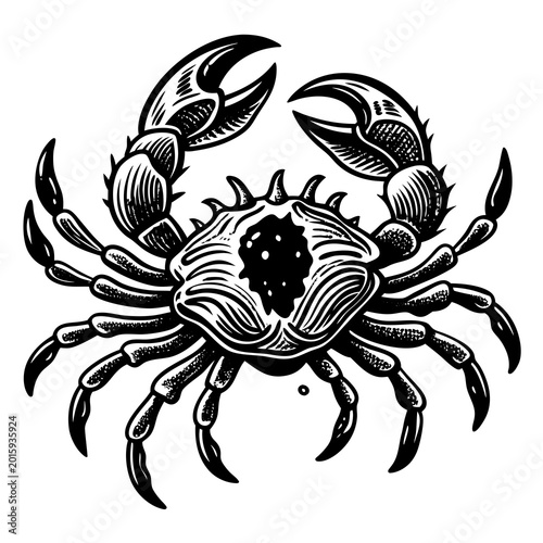 A detailed black and white vector illustration of a stylized crab with intricate line art and a transparent background