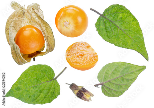 Фотография Fresh orange physalis berries with physalis leaves isolated on a white background