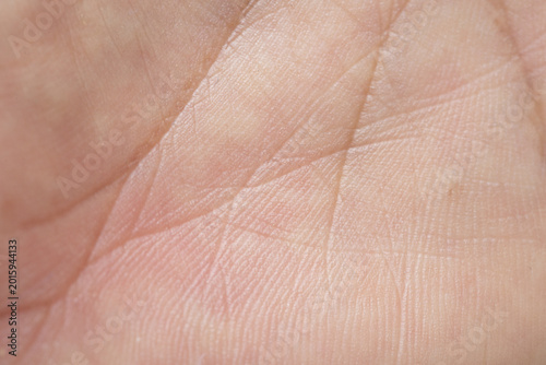 Foto Close-up of Human Palm Lines and Skin Texture,Macro shot of a human palm showing detailed skin texture, epidermal ridges, and palmistry lines