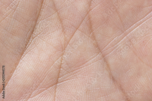 Close-up of Human Palm Lines and Skin Texture,Macro shot of a human palm showing detailed skin texture, epidermal ridges, and palmistry lines. A high-resolution image capturing the organic patterns.