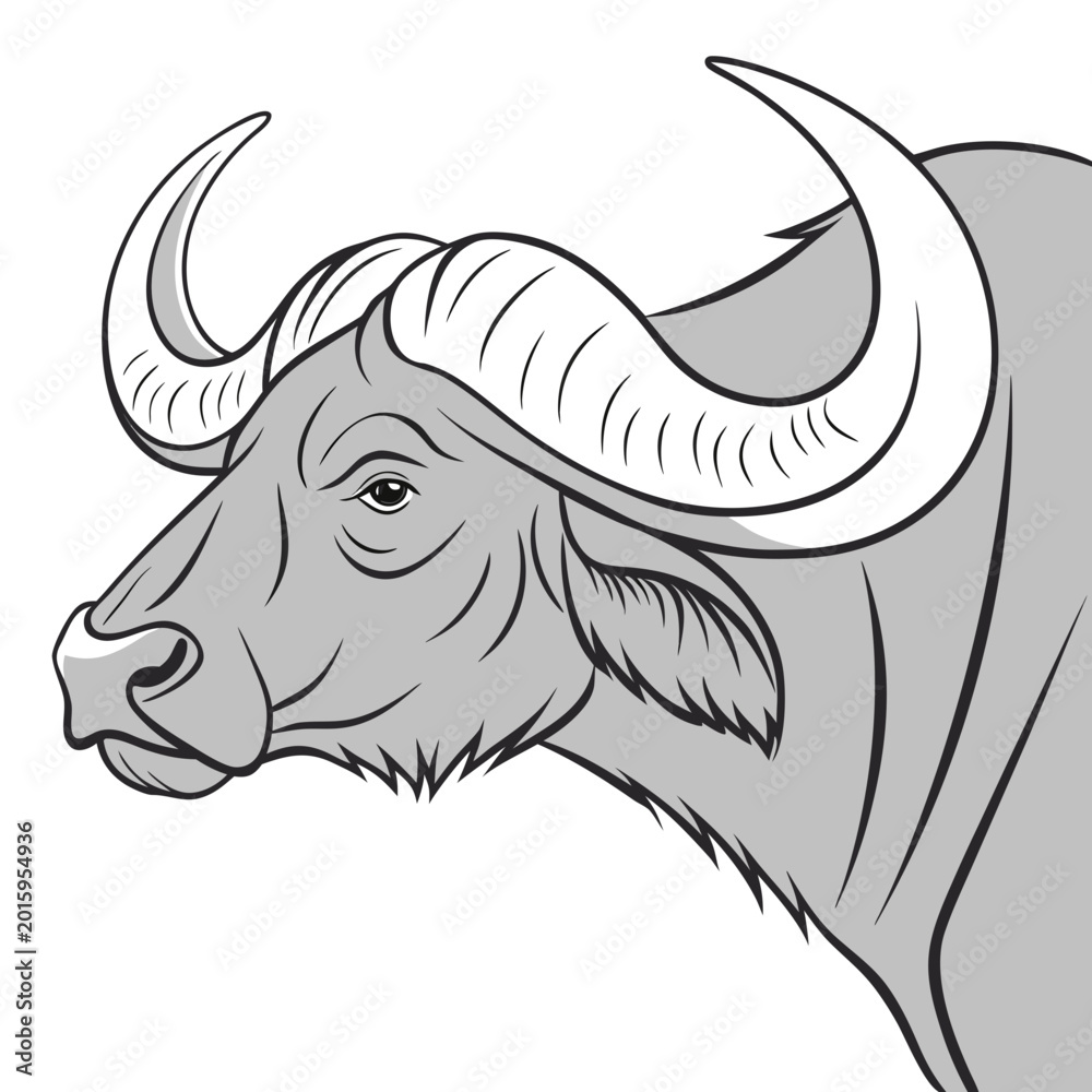 Obraz premium African buffalo stands with a powerful gaze in this grayscale illustrated profile.