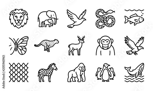 Photography Animal Icons Set, Wildlife Vector Graphics, Zoo Creatures Collection, Nature Sym