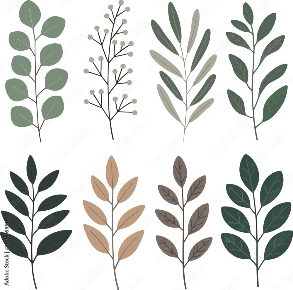 Fototapeta premium Collection of Botanical Elements With Green and Brown Hues