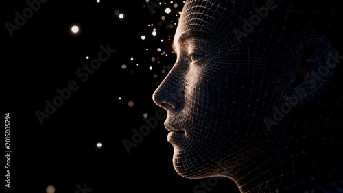 Digital wireframe human face profile