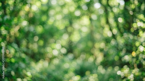 Blurred green leaves with bokeh effect, natural background, abstract backdrop.