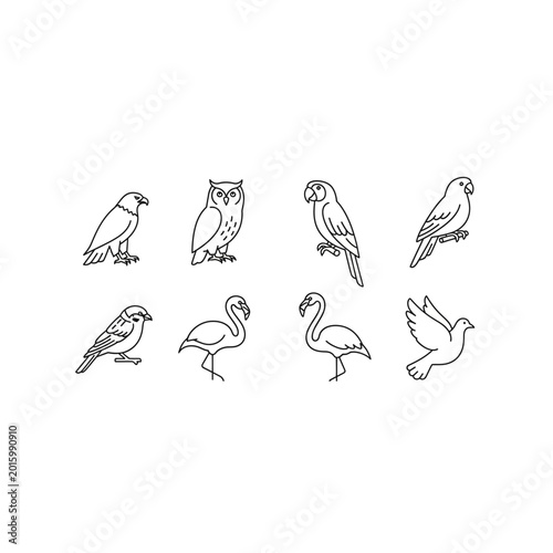 Assorted bird species outline sketches for graphic design with illustration