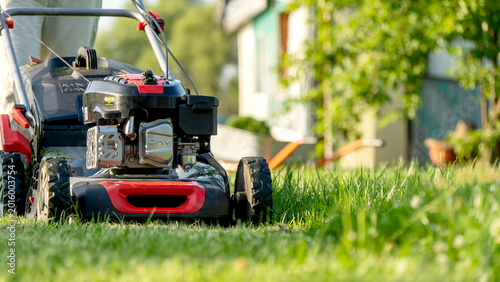 Red and black lawnmower cuts fresh green grass