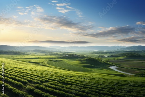 Agricultural landscape with fertile green fields and a winding river at golden hour