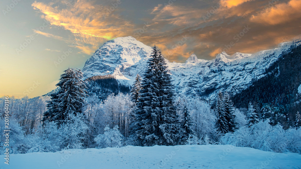 Fototapeta premium the sun sets in a spectacular winter scene high in the mountains