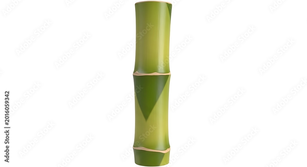Fototapeta premium Green bamboo stalk isolated on white background for spa and nature design