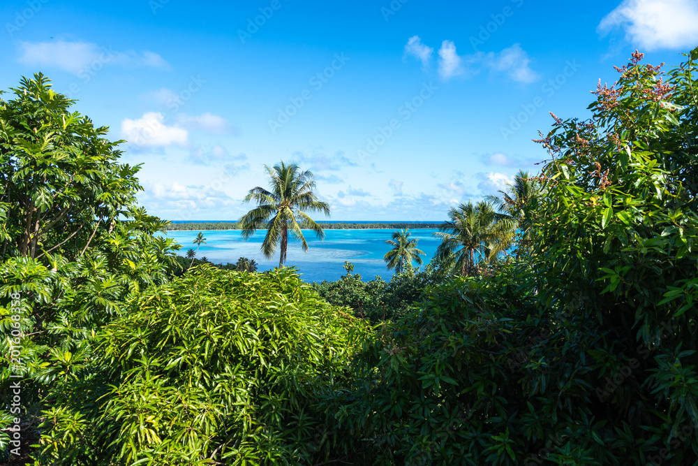 Fototapeta premium Coastal View and Ocean on Maupiti Island, French Polynesia