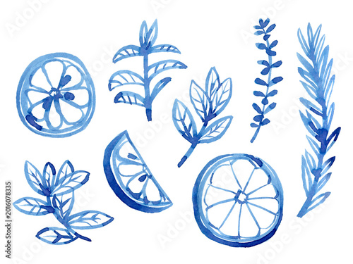 Watercolour hand drawn sliced lemon, mint, rosemary and thyme. Brush line illustration with herbs use as print, poster, card, invitation, menu design, textile, package, wrapping paper, label, sticker.