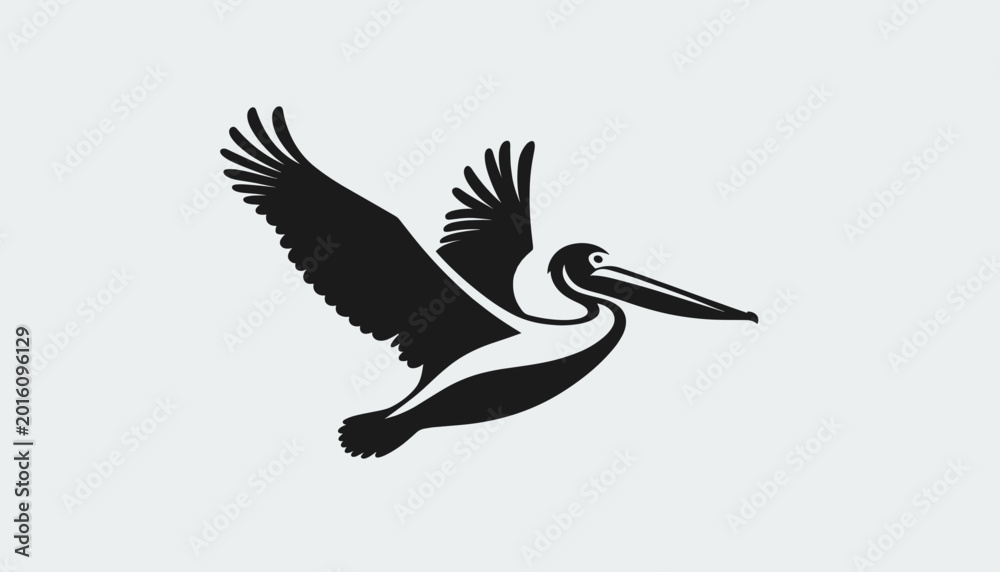Fototapeta premium Silhouette of a pelican bird in flight with wings spread wide.