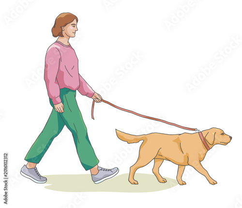 Woman walking with Labrador dog on leash