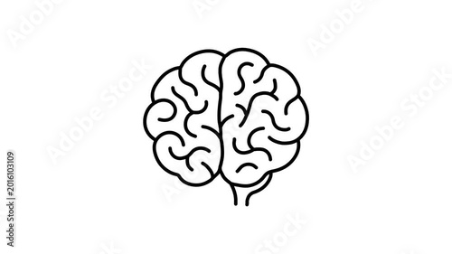 human brain anatomy, AI Brain Outline Animation on White Background for Digital Technology Concept.