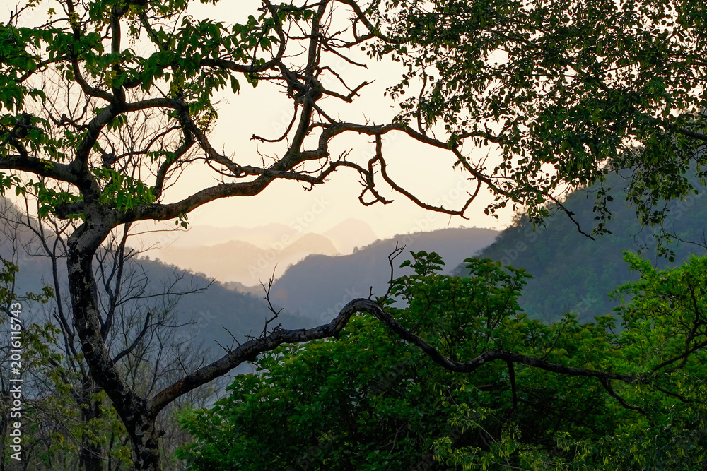 Fototapeta premium Scenic mountain landscape framed by branches and lush greenery