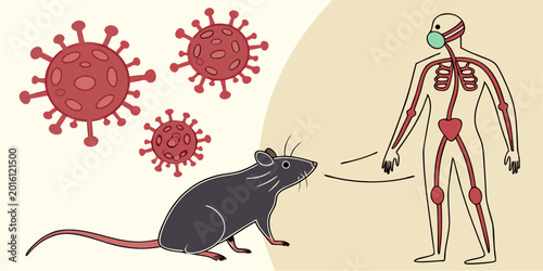 Dangerous Hantavirus zoonotic RNA virus transmitted through rodents leads to pneumonia and serious pulmonary complications.