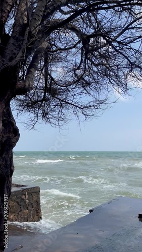 Rough beach waves shore