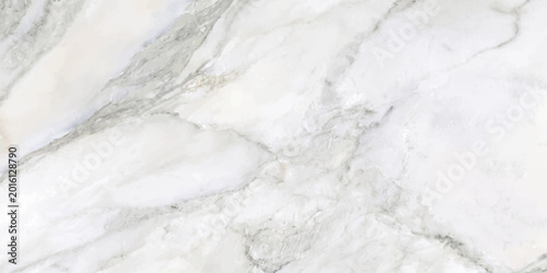 Schilderij op canvas The image showcases an exquisite surface, with detailed patterns and delicate variations of texture, a testament to nature's artistry