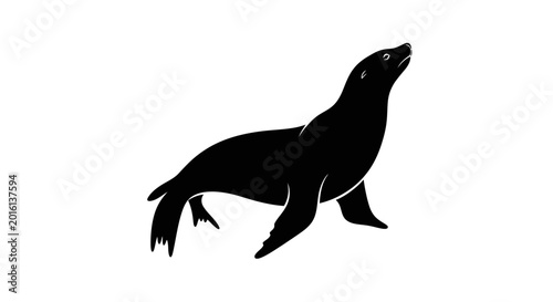Black silhouette of a sea lion isolated on white background.