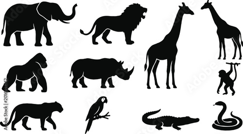 Photography Black and white african animals vector illustration
