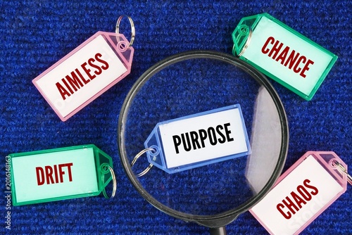 Words that are opposite to purpose are Drift, Aimless, chance, Chaos. state of being lost, disorganized, or without a clear plan. 