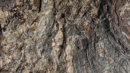Принти на полотні Rough surface of natural gneiss rock formation showing colorful texture