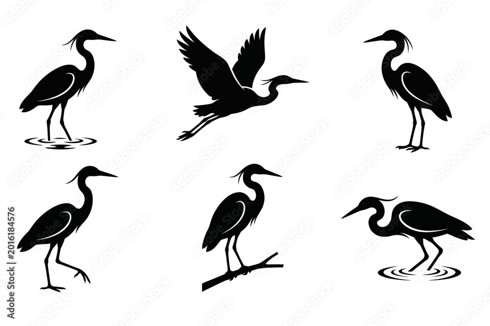 Fototapeta premium Black heron crane and egret bird silhouettes set in various poses