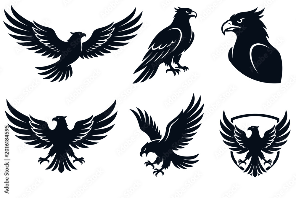 Fototapeta premium Black Eagle and Hawk Silhouette Icons for Logo and Badge Design