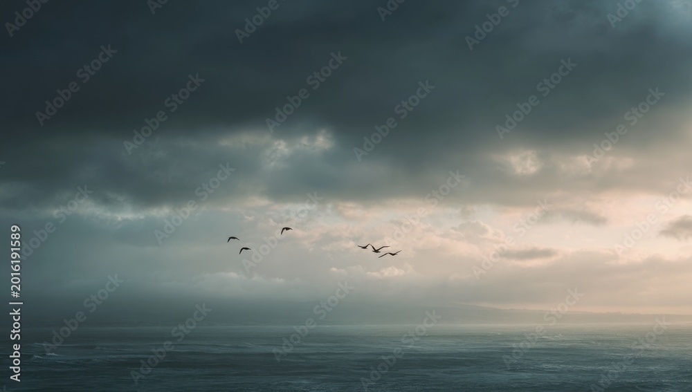 Fototapeta premium Flock of Birds Flying Over Calm Water Under Dramatic Stormy Sky.