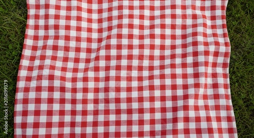 Red and white checkered picnic blanket on lush green grass outdoor scene